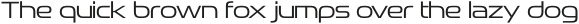 Snasm Light otf (300)