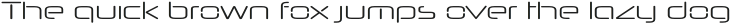 Neuropol Nova Expanded Light otf (300) Sample