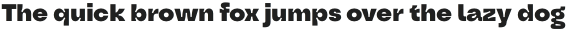 Oddval ExtraBold otf (700)