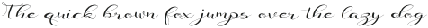 Illigia script Regular otf (400)