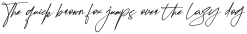 Krittany Signature Italic otf (400)