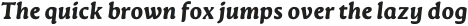 Novaletra Serif CF Heavy Italic otf (800)
