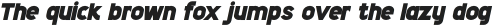 Shackle Black Italic otf (900)