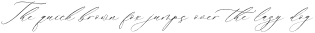 Gladioss Feather Italic otf (400)