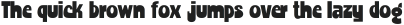 Point Blank ttf (400)