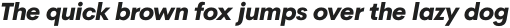Cerebri Sans Light otf (300)