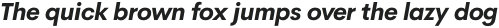 Cerebri Sans Light Italic otf (300)