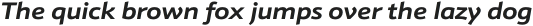Schnebel Sans Pro Expand Bold Italic otf (700)