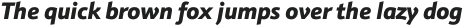 Schnebel Sans Pro Black Italic otf (900)