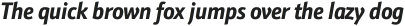 Schnebel Sans Pro Cond Bold Italic otf (700)