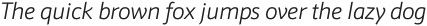 Schnebel Sans Pro Light Italic otf (300)