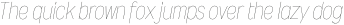 Wyvern UltraLight Italic otf (300)