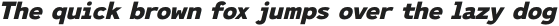 Ultraproxi Heavy Italic otf (800)