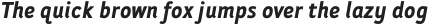 Folder Bold Italic otf (700)