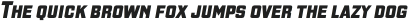 Gaz Heavy Italic otf (800)