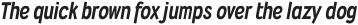 Wyvern Heavy Italic otf (800)