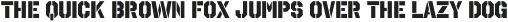 Octin Stencil Heavy otf (800)