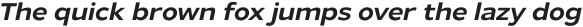 Gymkhana Regular Italic otf (400)