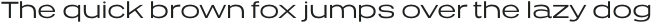 Presicav Light otf (300)