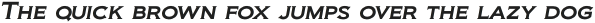 Biondi Italic otf (400)