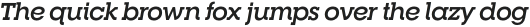 RNS Camelia Bold Italic otf (700)