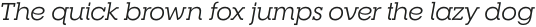 RNS Camelia Italic otf (400)