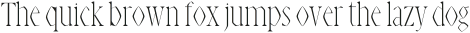 Abell Light otf (300)