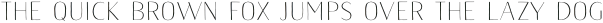 Naive Sans Light otf (300)