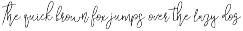 Aliviero Script preview