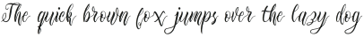Edelweiss Soft Script otf (400)