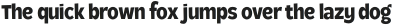 Loyola Pro ExtraBold otf (700)