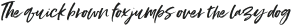 Styled up slanted otf (400)