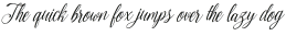 Amirra Script Amirra_Script Slant otf (400)
