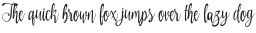 Amirra Script Amirra_Script Rough otf (400)
