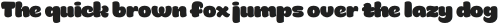 Munky Negra otf (400)