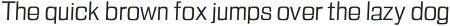 Anzil Medium otf (500)