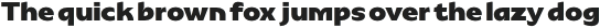 Patihan Sans Extrabold otf (700)