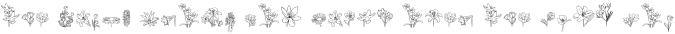 SpringFlowerfont Regular otf (400)