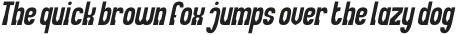 LADIES and GENTLEMEN Italic otf (400)