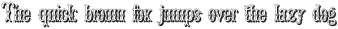 BruceDoublePicaShadow Regular ttf (400)