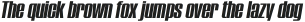 Initiate Display Black Oblique otf (900)