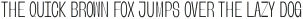 Banigar Condensed Light otf (300)