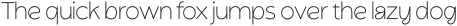 Acorn Thin otf (100)