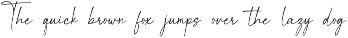 Magnificent Signature Font preview