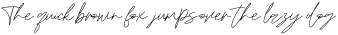 Hendrie Signature Regular otf (400)