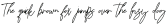 Biyenka Signature Regular otf (400)