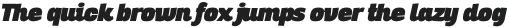 Altair Ultra Italic otf (900)