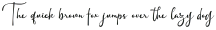 Aunther Signature Regular otf (400)