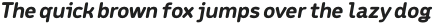 Meridiana Pro Heavy Italic otf (800)