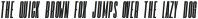 Tokyo Italic otf (400)